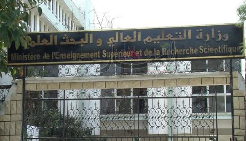 سبر الآراء حول اعتماد الانجليزية في الجامعة بداية من الغد