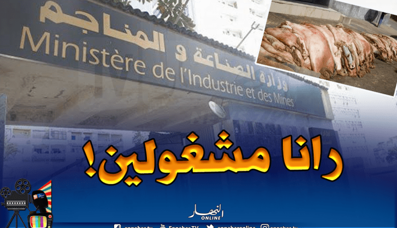 وزارة الصناعة تتخلى عن حملة جمع جلود أضاحي العيد