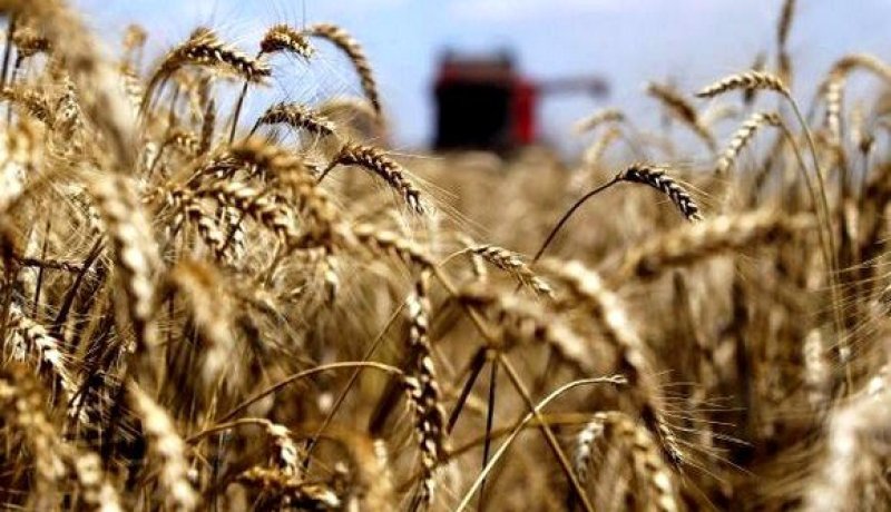 وزارة الفلاحة تدعو الفلاحين لاقتناء البذور والأسمدة والإستفادة من التحفيزات