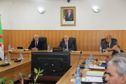 توزيع 8980 محل تجاري على الشباب قريبا