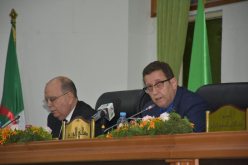 وزير الفلاحة: إلتهاب أسعار المواد الأولية هو فرصة لإعادة إطلاق الإستثمار في هذه الزراعات