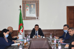 وزير الفلاحة: دراسة ملف إنشاء عمادة المهندسين الزراعيين.. ومراجعة القانون الأساسي