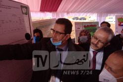 وزير الفلاحة: تعليمات لمرافقة منتجي الحبوب لتذليل جميع الصعوبات