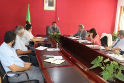 سوق الكتاب في ظل جائحة كورونا محور نقاش وزارة الثقافة مع دور النشر