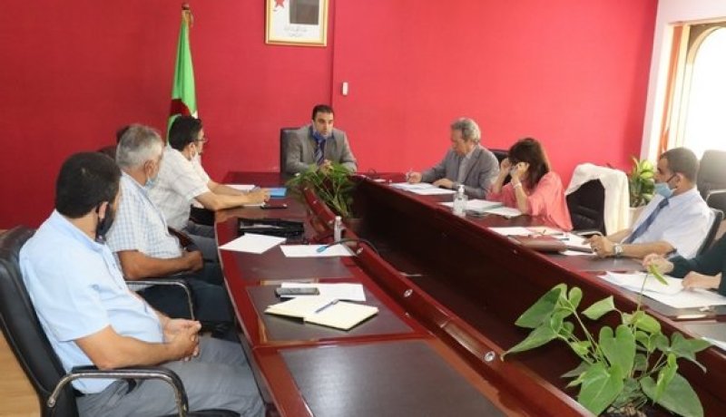 سوق الكتاب في ظل جائحة كورونا محور نقاش وزارة الثقافة مع دور النشر