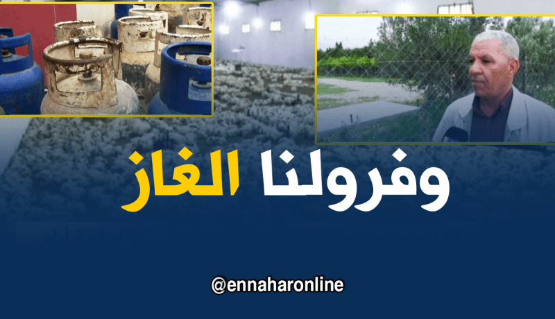 إنعدام غاز البوتان يعيق نشاط مربو الدجاج بأم البواقي