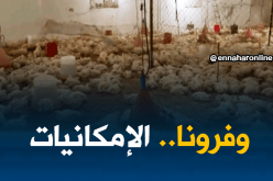 غليزان/ تربية الدواجن…مشاكل تعيق النهوض بالقطاع