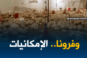 غليزان/ تربية الدواجن…مشاكل تعيق النهوض بالقطاع