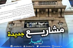مشاريع جديدة في قطاع الشباب والرياضة بولاية الجزائر