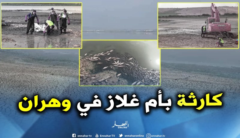 بالصور.. زرواطي تتوعد المصانع المتسببة في كارثة ام غلاز بوهران