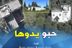 وهران.. مافيا العقار تريد الإستحواذ على “شاطو” داخل مستثمرة فلاحية بمسرغين