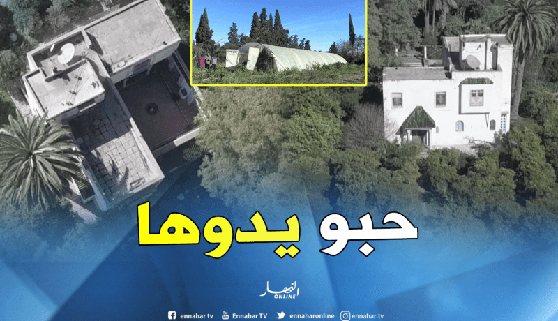 وهران.. مافيا العقار تريد الإستحواذ على “شاطو” داخل مستثمرة فلاحية بمسرغين