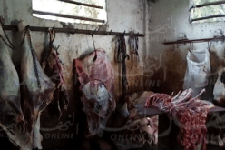 حجز أكثر من 3 قناطير لحوم أحصنة فاسدة بمذبح سري بوهران