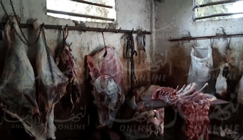 حجز أكثر من 3 قناطير لحوم أحصنة فاسدة بمذبح سري بوهران