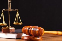 وهران.. إلتماس 20 سنة حبسا نافذا لـ6 متهمين من بينهم إمرأة في قضية “الكوكايين”