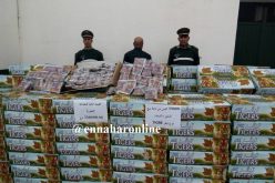 ضبط أكثر من 238 ألف و300 كيس شمة بشاحنة مموهة بالشعير في وهران