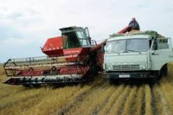 حجز حوالي 100 قنطار من مادة الحبوب بوهران