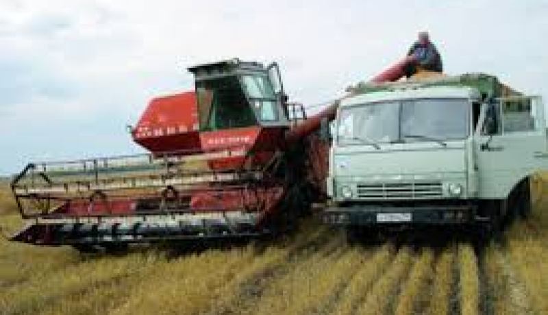 حجز حوالي 100 قنطار من مادة الحبوب بوهران