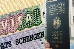 وكالة سياحية تبيع تأشيرات وهمية لكندا وألمانيا بـ 95 مليون سنتيم