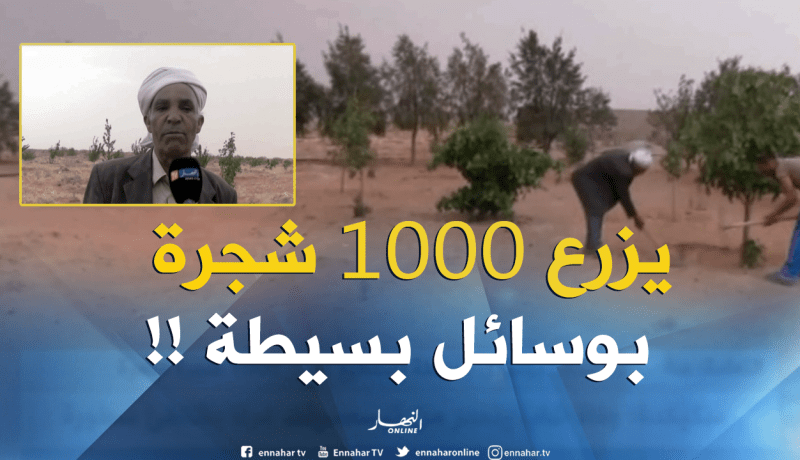 بالفيديو.. هكذا تمكن شيخ من زرع ألف شجرة بوسائل بسيطة