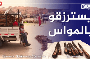 صناعة السـ.ـكاكين وبيع الحطب.. مهن موسمية تظهر عشية عيد الأضحى المبارك