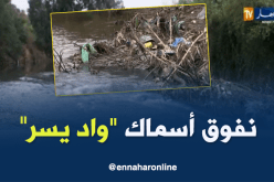كارثة بيئية تحل بواد “يسر” و السكان يناشدون السلطات لإيجاد الحلول