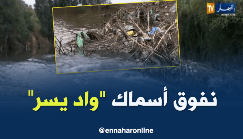 كارثة بيئية تحل بواد “يسر” و السكان يناشدون السلطات لإيجاد الحلول