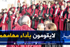 وزارة العدل: نواب عامون ورؤساء مجالس اتخذوا مواقف غير مهنية وقضاة هددوا زملائهم