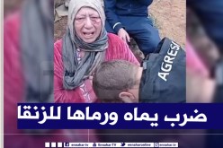 فيديو يبكي الحجر.. إبن جاحد يضرب أمه ويلقي بها في الشارع بتلمسان