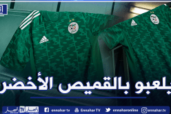 بالفيديو.. شاهد غرف تغيير ملابس الخضر قبل مواجهة زامبيا