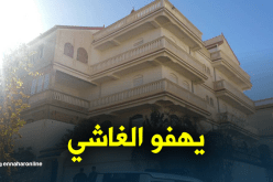 اكتشاف موقع أثري مموّه بفيلا فاخرة في باتنة