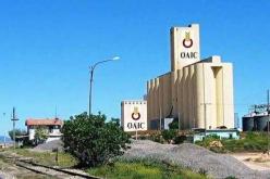 الديوان المهني للحبوب يدعو الفلاحين التوجه للتعاونيات لمعالجة بذورهم