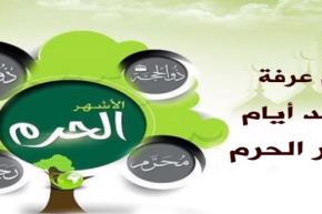 بالفيديو.. فضائل يوم عرفة