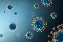 دراسة تحسم الجدل حول أصل كورونا