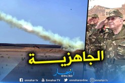 بالصور.. الفريق ڤايد صالح يشرف على تمرين تكتيكي بالذخيرة الحية في ورقلة