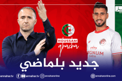 رسميا.. بلماضي يستدعي غشة لمواجهة جيبوتي وبوركينافاسو