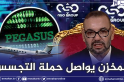 بعد الفضيحة المدوية بسبب بيغاسوس.. المخزن يعتزم اقتناء برنامج تجسس صهيوني جديد 