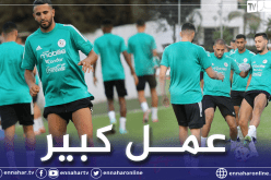 بالصور.. المنتخب الوطني يباشر تدريباته إستعدادا لمواجهتي جيبوتي وبوركينافاسو