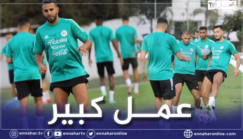 بالصور.. المنتخب الوطني يباشر تدريباته إستعدادا لمواجهتي جيبوتي وبوركينافاسو