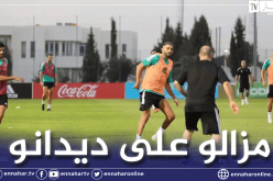 بالفيديو.. بلماضي يشارك لاعبيه التدريبات ويظهر فنيات عالية