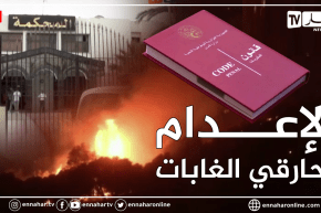 الإعدام لحارقي الغابات.. إذا تسببت في في وفيات أو عاهات مستدامة