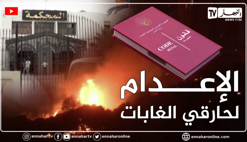 الإعدام لحارقي الغابات.. إذا تسببت في في وفيات أو عاهات مستدامة