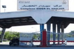 رئيسة مجلس إدارة مركب الحجار تستقيل بعد إتهامات النقابة