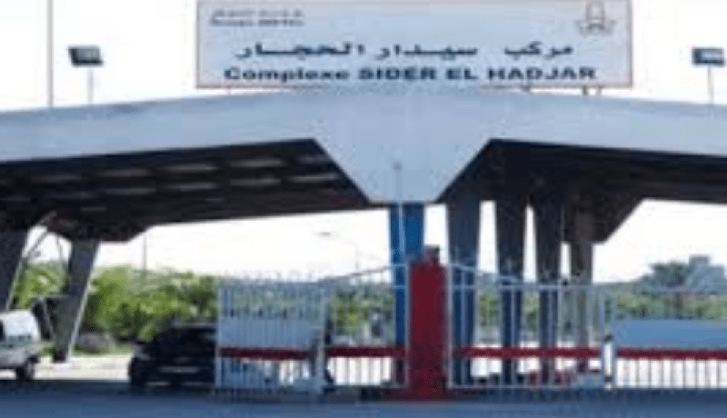 رئيسة مجلس إدارة مركب الحجار تستقيل بعد إتهامات النقابة