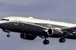 أرنب يلحق أضرارًا بمليون يورو لطائرة بوينغ 737