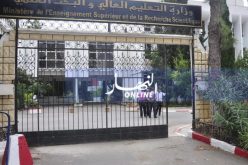 استلام 29 ألف مقعد بيداغوجي جديد مع الدخول الجامعي المقبل