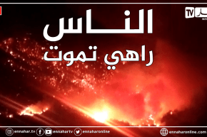 تيزي وزو.. حريق هائل يجتاح غابة ايت تودارت و يهدد سكان قرية تيمغراس