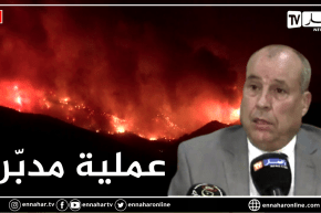 النائب العام بتيزي وزو: النيران المندلعة بالولاية هي بفعل فاعل وهي عملية مدبّرة مسبقا