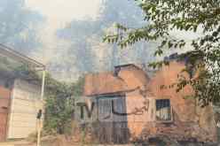 الأفافاس يطالب بفتح تحقيق فوري حول الحرائق الأخيرة