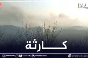 خسائر كبيرة في الثروة الغابية بمنطقة عين بربر بلدية سرايدي .. عملية الاخماد متواصلة لحد الان